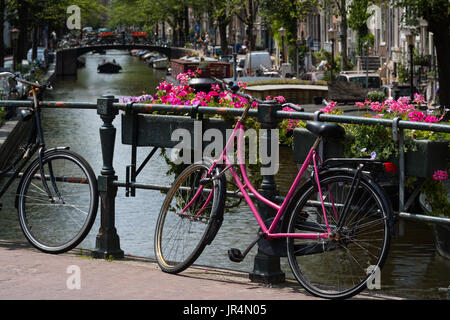 Location rose et fleurs à l'Amstel, Amsterdam, Pays-Bas Banque D'Images