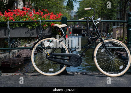 Location et de fleurs, Amsterdam, Pays-Bas Banque D'Images