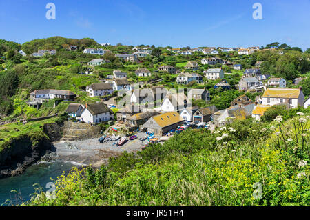 La côte de Cornwall village de Cadgwith Cove, dans la péninsule du Lézard, Cornwall, UK Banque D'Images