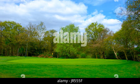 Green sur le parcours de golf de Wimbledon Common, Londres, Angleterre, Royaume-Uni Banque D'Images