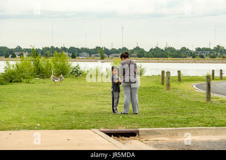 Une femme hispanique tend à un jeune garçon tout en appréciant les oies et le lac à Oklahoma City, Oklahoma, USA. Banque D'Images