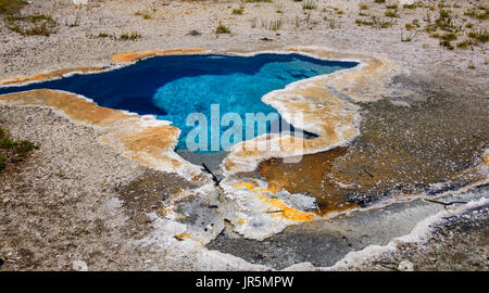 Libre d'une source chaude, piscine à Yellowstone. blue star printemps geyser. bleu, turquoise de l'eau. Banque D'Images