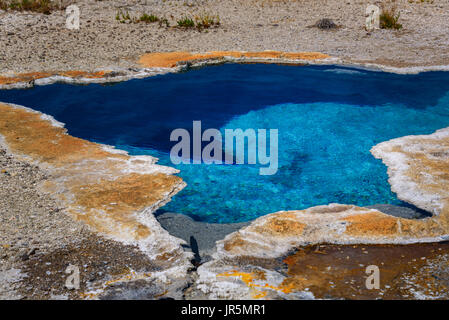 Blue Star printemps geyser. libre d'une source chaude, piscine à Yellowstone. bleu, turquoise de l'eau. Banque D'Images