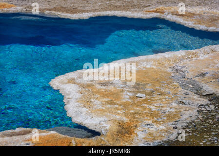 Gros plan de l'étoile bleue printemps geyser. Hot spring, piscine à Yellowstone. Banque D'Images