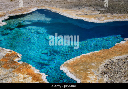 Gros plan de l'étoile bleue printemps geyser. Hot spring, piscine dans le parc national de Yellowstone. Banque D'Images