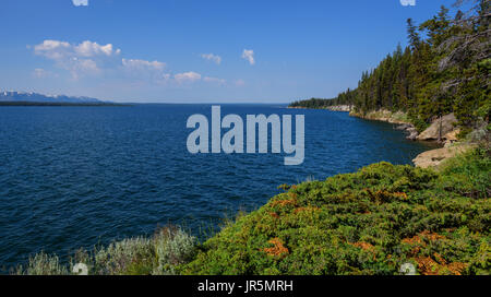 Dans le lac Yellowstone Parc national de Yellowstone, Wyoming, USA. tetons, chaîne de montagnes, la partie des montagnes Rocheuses, dans l'arrière-plan. Banque D'Images