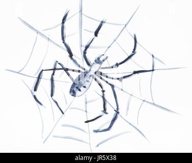 La formation en dessin suibokuga with style Spider - sur le web sur papier blanc Banque D'Images