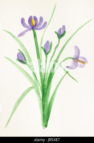 La formation en dessin suibokuga with style - bouquet d'iris fleurs fraîches sur papier Banque D'Images