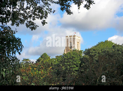 Une vue sur le clocher de l'église ss Pierre et Paul au-dessus des arbres à pierrage, Norfolk, Angleterre, Royaume-Uni. Banque D'Images