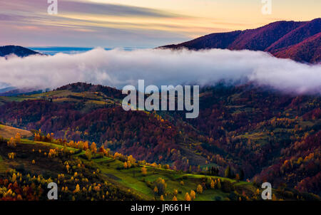 Sur la colline de nuages avec feuillage coloré à l'aube d'arrière-plan du paysage de montagne sublime. Banque D'Images