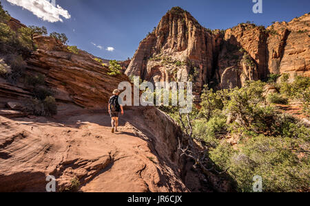 Homme Randonnée le long Canyon Overlook Trail, Zion National Park, Utah, USA, Amérique Banque D'Images