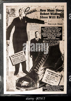 Alton, Illinois, USA. 06Th Aug, 2017. Une annonce historique avec Robert Wardlow, l'homme le plus grand du monde à 8'11'', dans le cadre d'une exposition au Musée d'histoire et d'Alton Art. Né en 1918 à Alton, Wardlow était un géant de l'hypophyse qui, à l'âge de neuf ans, était déjà 6 pieds 2. Il a brièvement rejoint le cirque Ringling Bros Circus, et il a été un ambassadeur de bonne volonté pour l'International Shoe Company wihich lui a fourni sa taille 37 chaussures, mais sa taille à l'origine de nombreux problèmes médicaux et il est mort en 1940 d'une infection causée par une ampoule sur son pied. Crédit : Brian Cahn/ZUMA/Alamy Fil Live News Banque D'Images