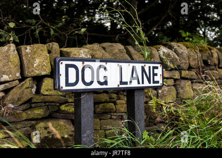 Signalisation routière pour Dog Lane à Elland, West Yorkshire Banque D'Images