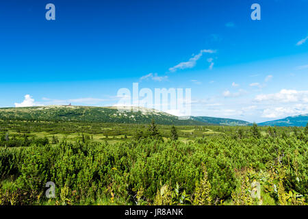 Beau paysage de montagnes et de prairies sur l'été journée ensoleillée. Belle blue cloudy sky. La vue des montagnes dans le Parc National de Krkonose. Banque D'Images