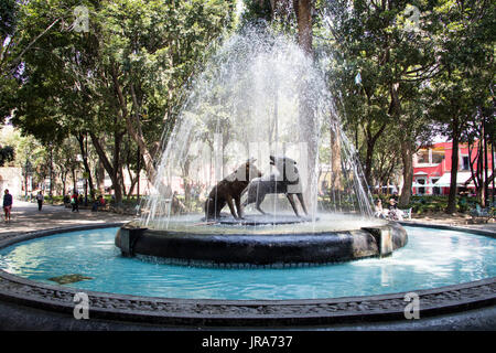 Fuente de los Coyotes, Centenario Jardin Jardín Centenario, Coyoacan, Mexico City, Mexico Banque D'Images