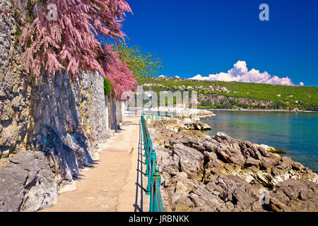 Via un passage célèbre de la côte d'Opatija, Kvarner, Croatie Banque D'Images