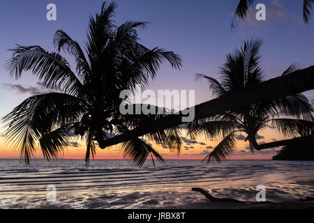 Palmiers au coucher du soleil sur une magnifique plage tropicale sur l'île de Thaïlande Koh Kood Banque D'Images