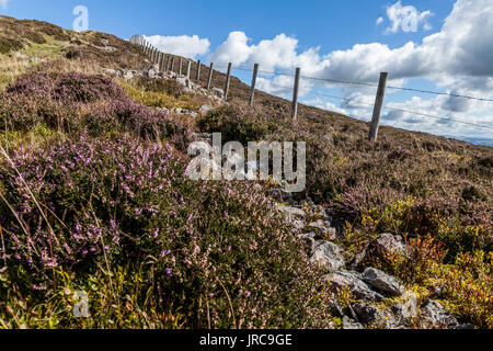 Sentier rocailleux dans les Pentland Hills Ecosse Banque D'Images