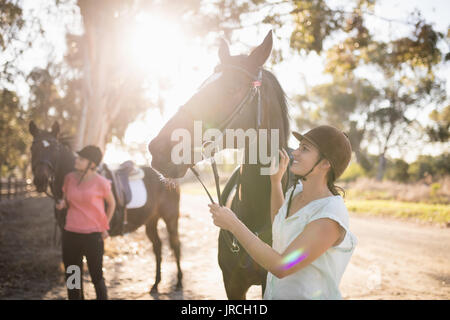 Les amis de caresser les chevaux à Grange au cours de journée ensoleillée Banque D'Images