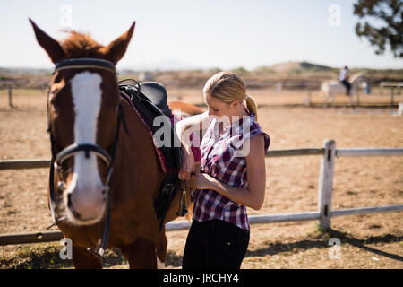 Jeune femme selle fixation sur le cheval en se tenant sur le terrain au cours de journée ensoleillée Banque D'Images