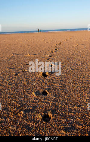 Des empreintes de pas menant à des gens sur le sable à Holkham Beach, Norfolk, au Royaume-Uni. Banque D'Images