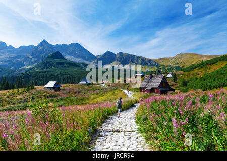 Dans la vallée gąsienicowa Tatry mountains, Pologne Banque D'Images