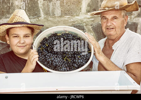 Teenage boy avec son grand-père parsèment grappes de raisins à la vigne. Thème vintage. Chasse d'automne. Deux agriculteurs. Filtre photo jaune. Banque D'Images