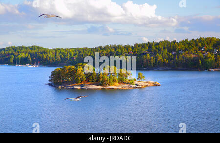 Vue panoramique des petites îles de l'archipel de Stockholm. La Suède. Paysage de l'eau Banque D'Images