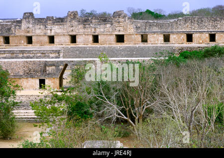 Antiq vue Quadrangle à Uxmal, Mexique Banque D'Images