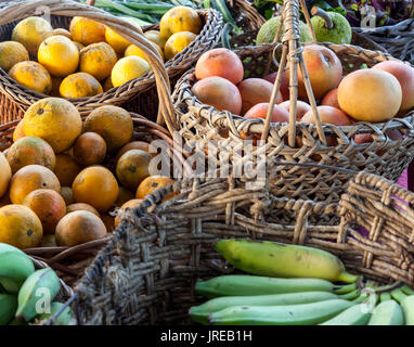 HI00441-00...Hawai'i - Fruits à Honoka'a marché le samedi le long de la côte Hamakua sur l'île d'Hawai'i. Banque D'Images