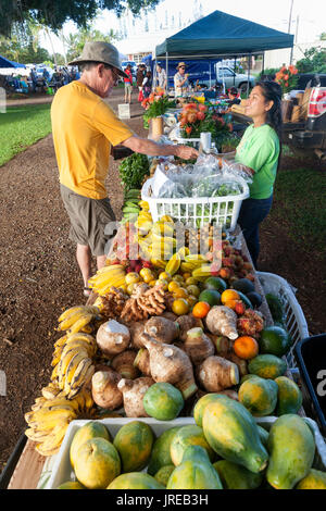 HI00443-00...Hawai'i - Fruits à Honoka'a marché le samedi le long de la côte Hamakua sur l'île d'Hawai'i. Banque D'Images