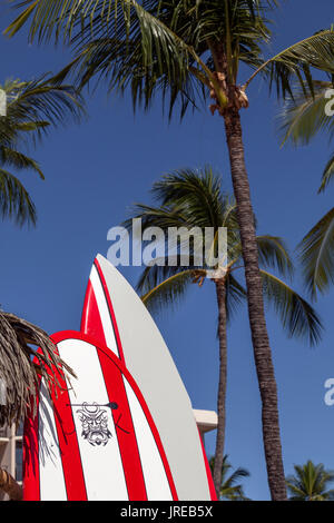 HI00447-00...Hawai'i - Stand Up Paddle (SUP) à Kailuna-Kona sur l'île d'Hawai'i. Banque D'Images