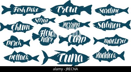 Poisson, de collections ou de logos. Les fruits de mer, de l'alimentation, de la pêche, la pêche à la ligne d'icônes. Lettres manuscrites, calligraphie vector illustration Illustration de Vecteur