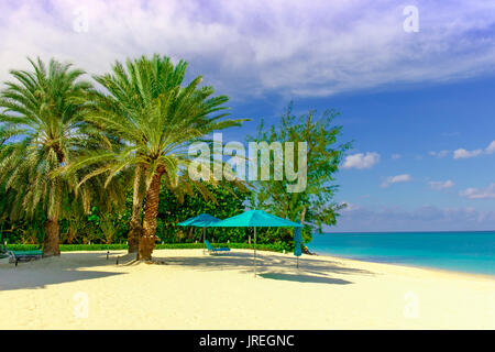 Des parasols et des palmiers sur Seven Mile Beach dans les Caraïbes, Grand Cayman, Cayman Islands Banque D'Images