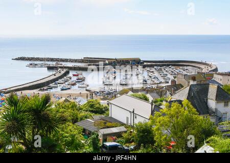 Lyme Regis, dans le Dorset, UK. 5 août 2017. Météo britannique. Le port de Cobb durant la matinée sunhine à la station balnéaire de Lyme Regis dans le Dorset. Crédit photo : Graham Hunt/Alamy Live News Banque D'Images