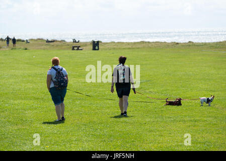 Walney Island, Barrow-in-Furness, Cumbria, Royaume-Uni, 5th août 2017. Un soleil éclatant sur Biggar Bank. Femmes marchant avec des chiens au soleil éclatant et à l'air frais de la côte exposée sur la côte nord-ouest de l'Angleterre. Banque D'Images