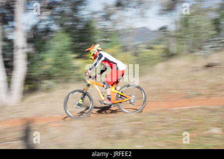 Course de vélo de montagne en accélérant vers le bas une pente graduelle à Mount Borah NSW Australie. Banque D'Images