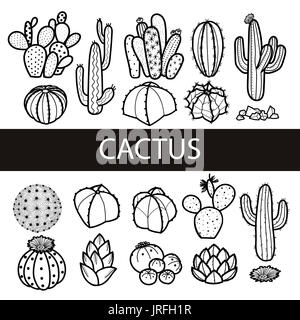 Ensemble de cactus et plantes grasses isolés en contour noir. style dessiné à la main. vector illustration. Banque D'Images