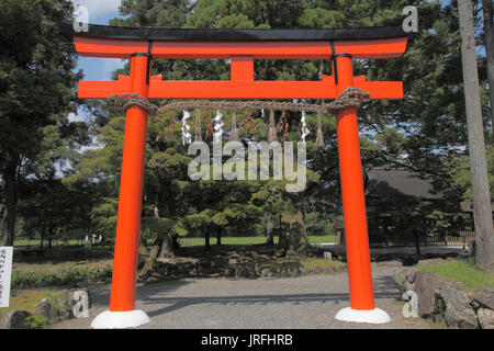 Le Japon, Kyoto, Kamigamo Jinja, sanctuaire shinto torii, Banque D'Images