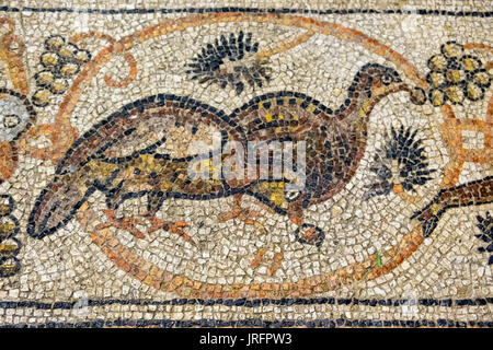 Mosaïques colorées illustrant différents animaux dans l'église du Saint Sépulcre, dans le quartier chrétien de la vieille ville de Jérusalem Banque D'Images