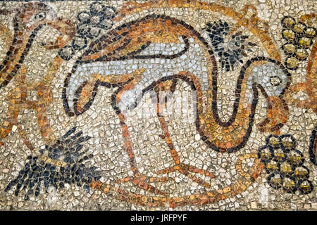 Mosaïques colorées illustrant différents animaux dans l'église du Saint Sépulcre, dans le quartier chrétien de la vieille ville de Jérusalem Banque D'Images