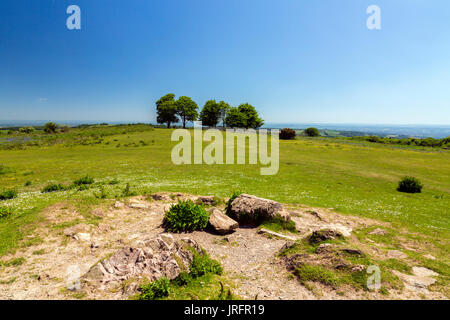 Les ruines de Cothelstone Tower au sommet de Cothelstone Hill sur le collines de Quantock, Somerset, England, UK Banque D'Images