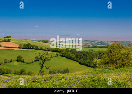 En direction nord depuis le sommet de Cothelstone Hill sur le collines de Quantock à Hinkley Point et le Canal de Bristol, Somerset, England, UK Banque D'Images