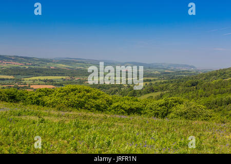 En direction nord depuis le sommet de Cothelstone Hill sur le collines de Quantock vers Vale de Taunton Deane et d'Exmoor, Somerset, England, UK Banque D'Images