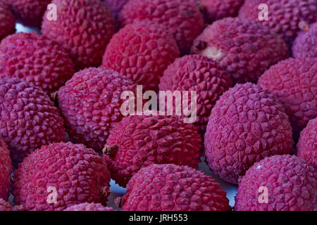 Fruits Litchi Banque D'Images