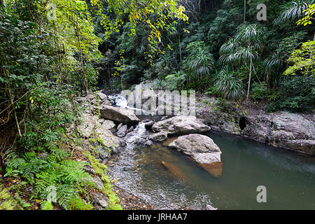 Cascades de cristal, Cairns, Far North Queensland, Queensland, Australie, FNQ Banque D'Images