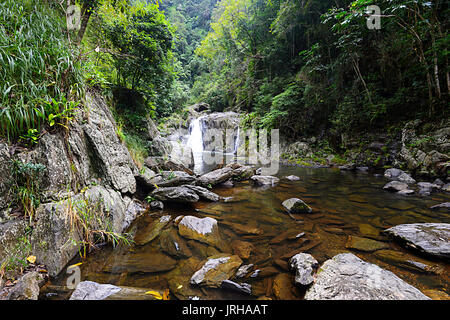 Cascades de cristal, Cairns, Far North Queensland, Queensland, Australie, FNQ Banque D'Images