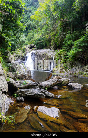 Cascades de cristal, Cairns, Far North Queensland, Queensland, Australie, FNQ Banque D'Images