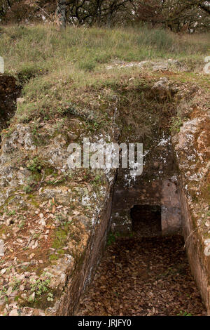 L'Armeni de nekropolis était un cimetière Minoen tardif dans un chêne forêt dans les montagnes de la Crète avec plus de 230 tombes de chambre creusée dans le calcaire. Banque D'Images