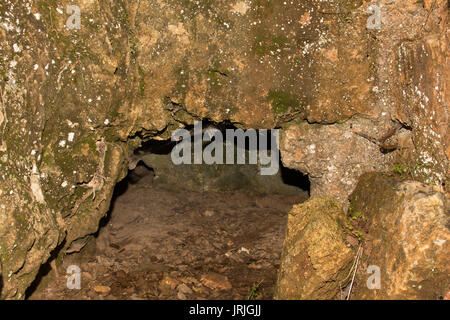 L'Armeni de nekropolis était un cimetière Minoen tardif dans un chêne forêt dans les montagnes de la Crète avec plus de 230 tombes de chambre creusée dans le calcaire. Banque D'Images